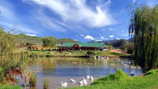 Wilgewandel Holiday Farm | Oudtshoorn Self-catering