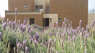Wildpebbles | Self-catering Jeffreys Bay