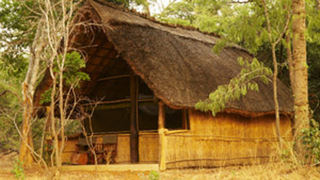 Mukuyu Bush Camp | Mubanga Accommodation