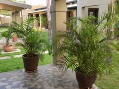 Villa Violet | Windhoek Accommodation