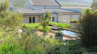 South Hill Vineyards | Elgin Accommodation