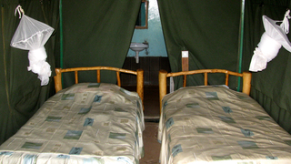 Big Time Safari Camp | Maasai Mara Accommodation