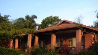 Ambience Inn | Accommodation White River