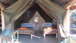 Rhino Tourist Camp Masai Mara | Accommodation Maasai Mara