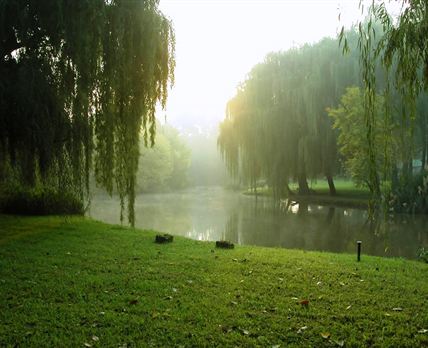 Henley River Lodge