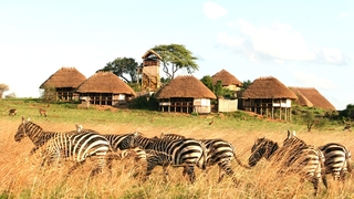 Apoka Safari Lodge | Accommodation Kidepo Valley National Park