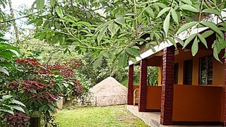 CVK Resort | Accommodation Fort Portal