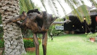 Bird's Nest Guest House | Keetmanshoop Accommodation