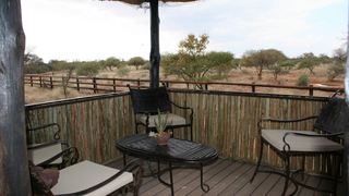 Buffalo Thorn Safari Lodge | Tom Burke Accommodation