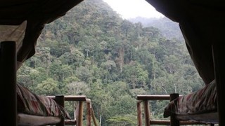 Gorilla Resort | Accommodation Bwindi Impenetrable National Park