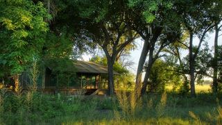 Shinde Camp | Okavango Delta Accommodation
