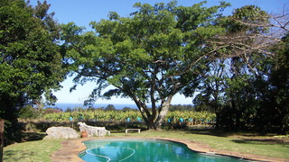 Clearwater Cottage | Accommodation Port Edward