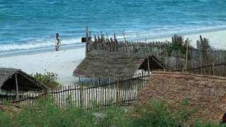 Kipepeo Beach Village | Lodges Mjimwema
