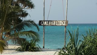 Game Fish Lodge | Lodges Nungwi