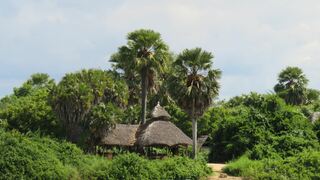 Selous Wilderness Camp | Accommodation Selous Game Reserve