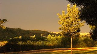 Pecan Grove Bed and Breakfast | Accommodation Frankfort