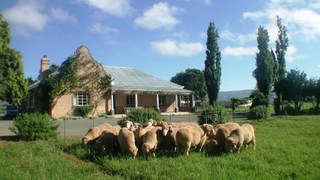 Wellwood Farm - Trymore Cottage | Self-catering Graaff-Reinet
