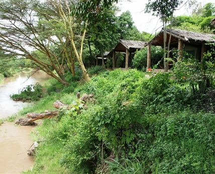 Fig Tree Camp