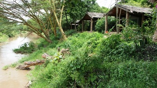 Fig Tree Camp | Maasai Mara National Reserve Accommodation