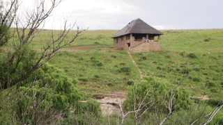 Wilge Inn | Reitz Accommodation