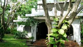 Shambani Cottages | Accommodation Diani Beach