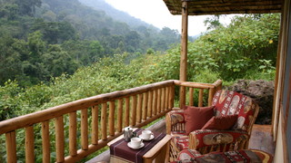 Engagi Lodge | Bwindi Impenetrable National Park Accommodation