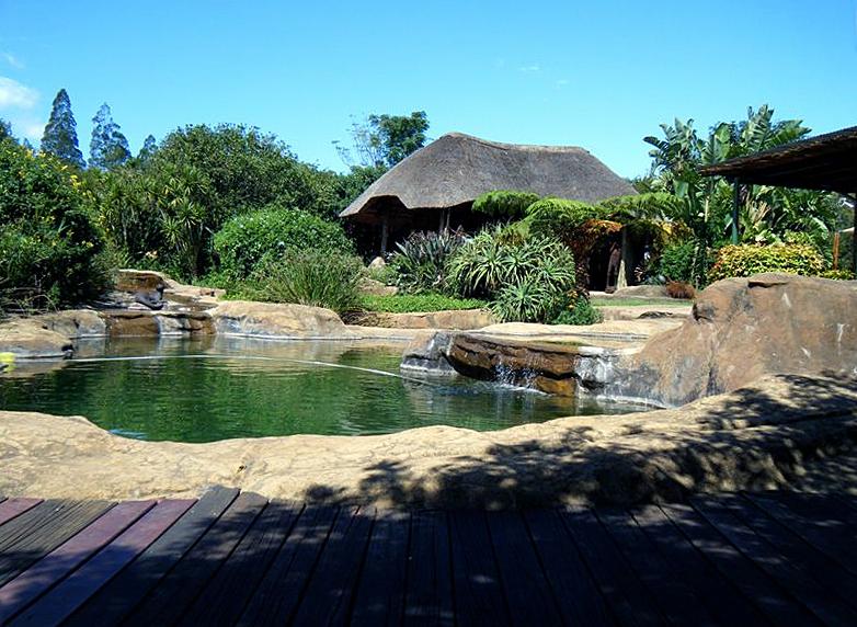 Ashburton Accommodation