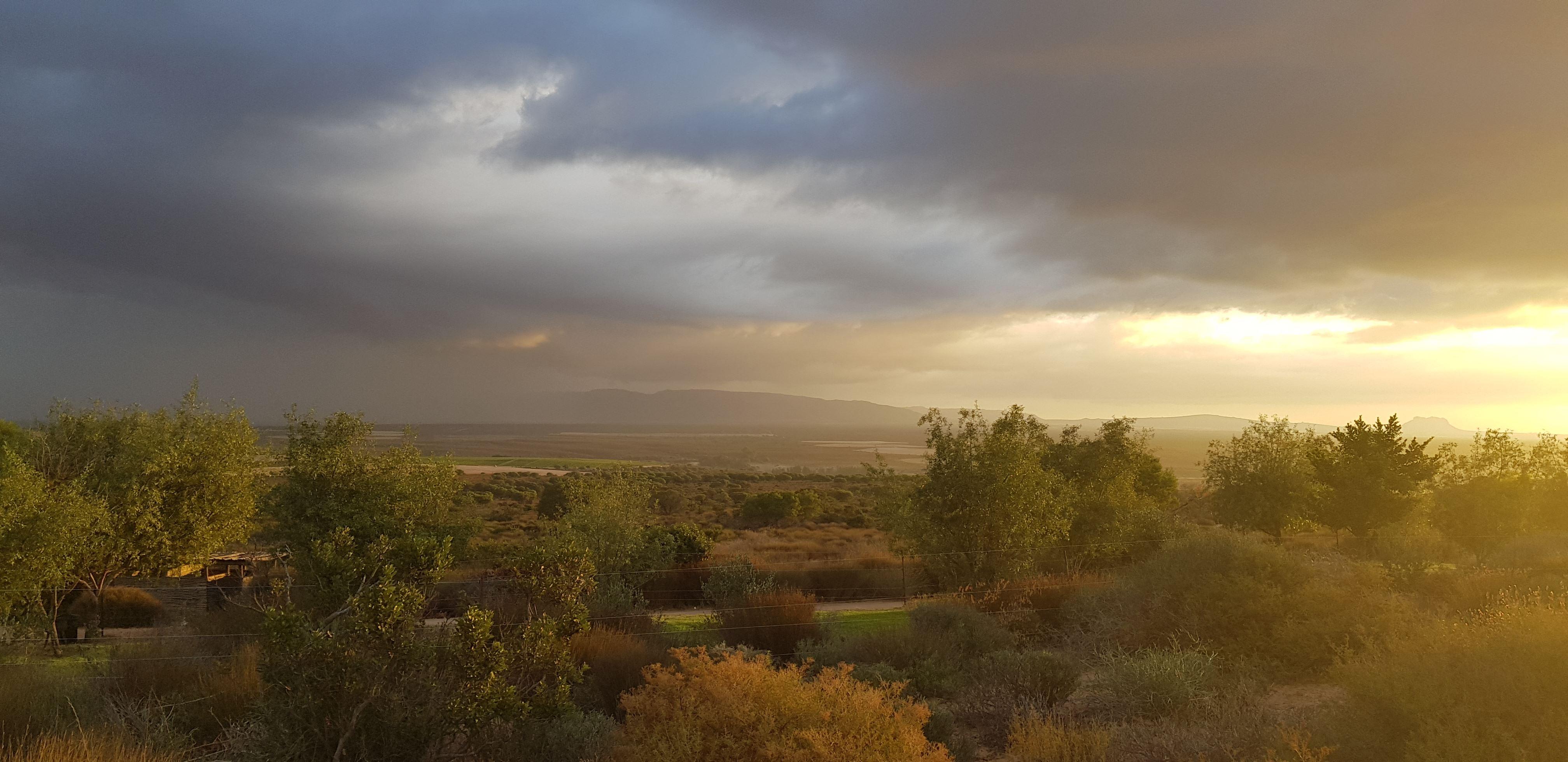 Goudkop Bush & Detox Camp