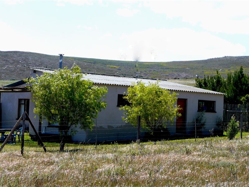 Arum Lily Cottage