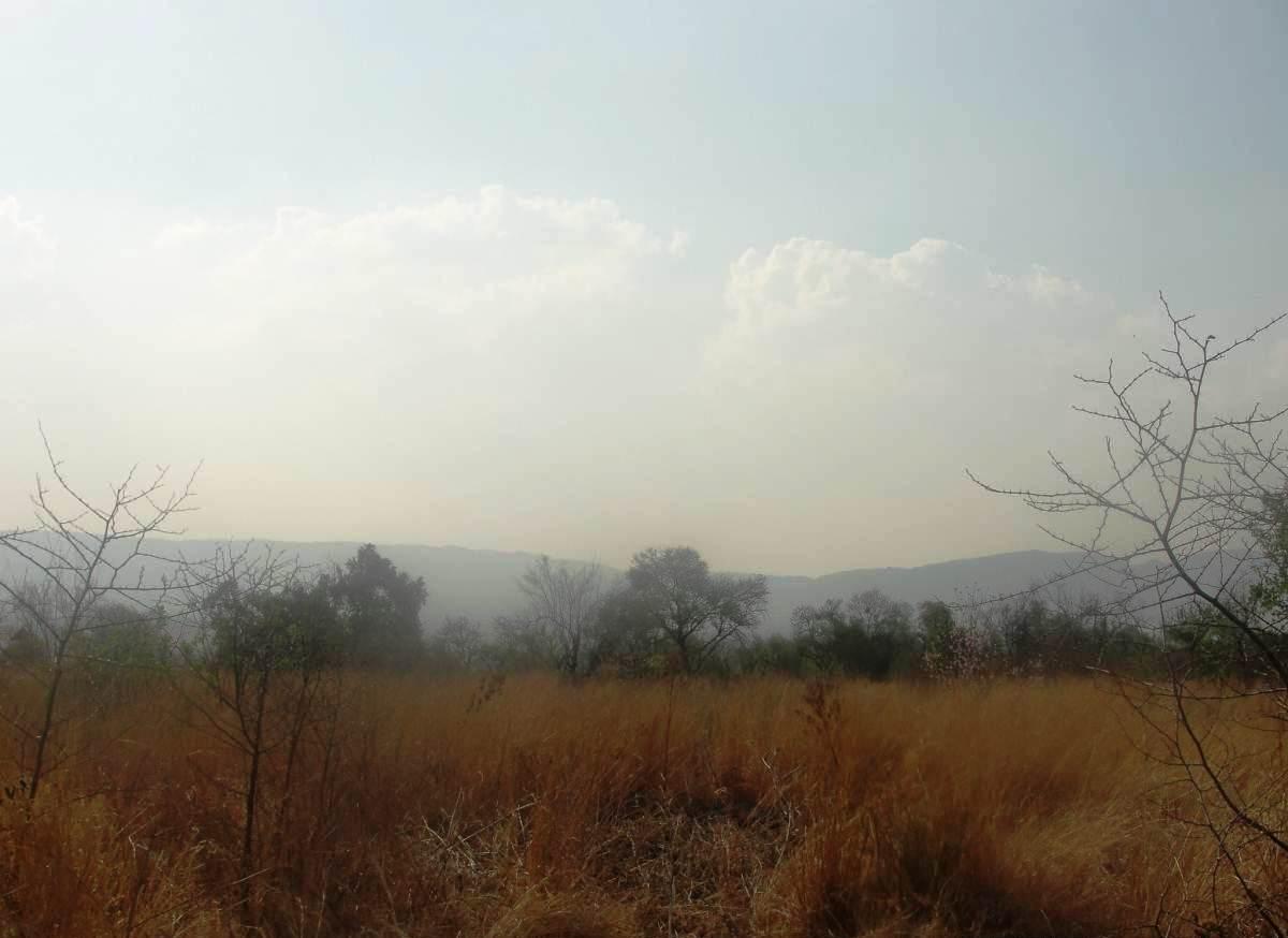 TwentyOne Bush Farm | Hekpoort Accommodation