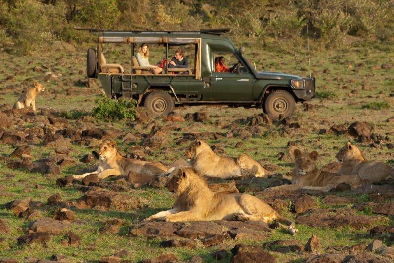 Game drives