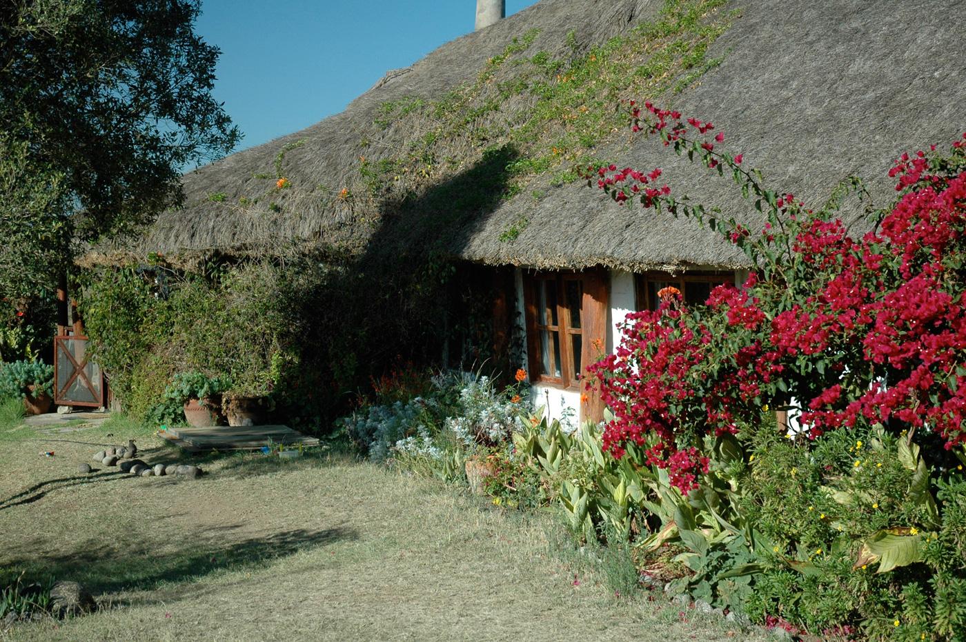 Pelican House