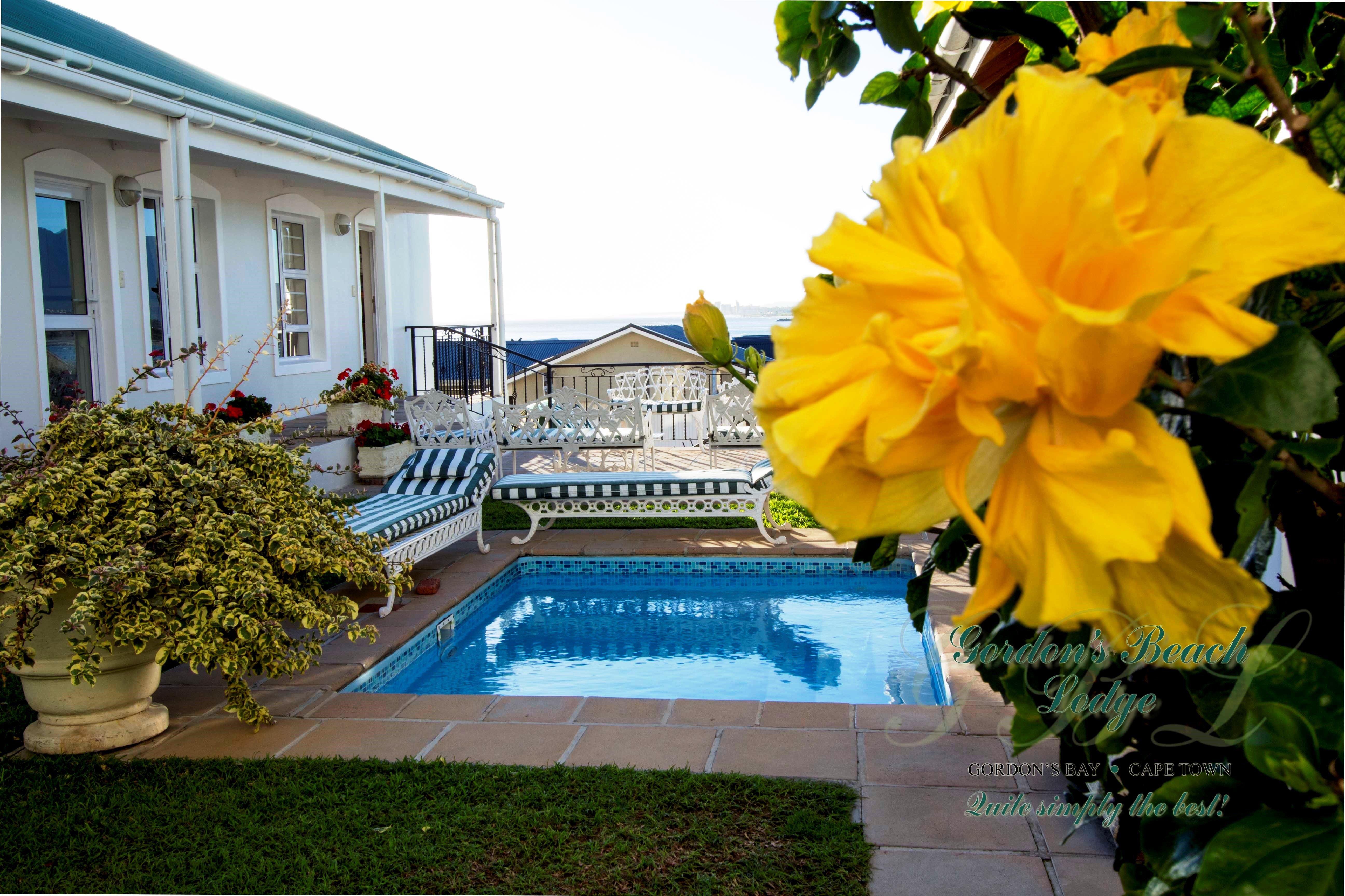 Gordon's Beach Lodge | Mountainside Accommodation