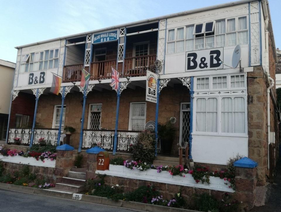 Blue Whale Lodge | Accommodation Mossel Bay
