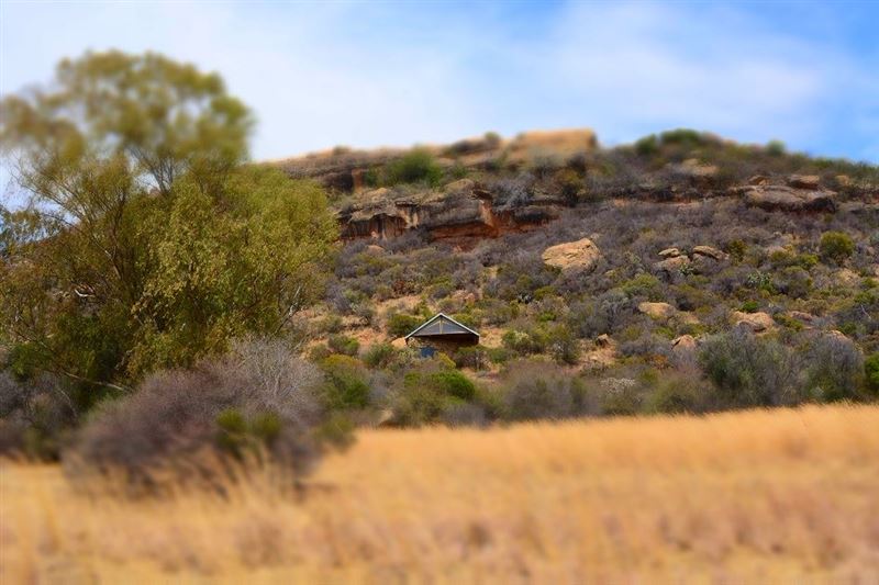 Ellerbeck Country Lodge is surrounded by nature. Wake up with the songs of the birds.