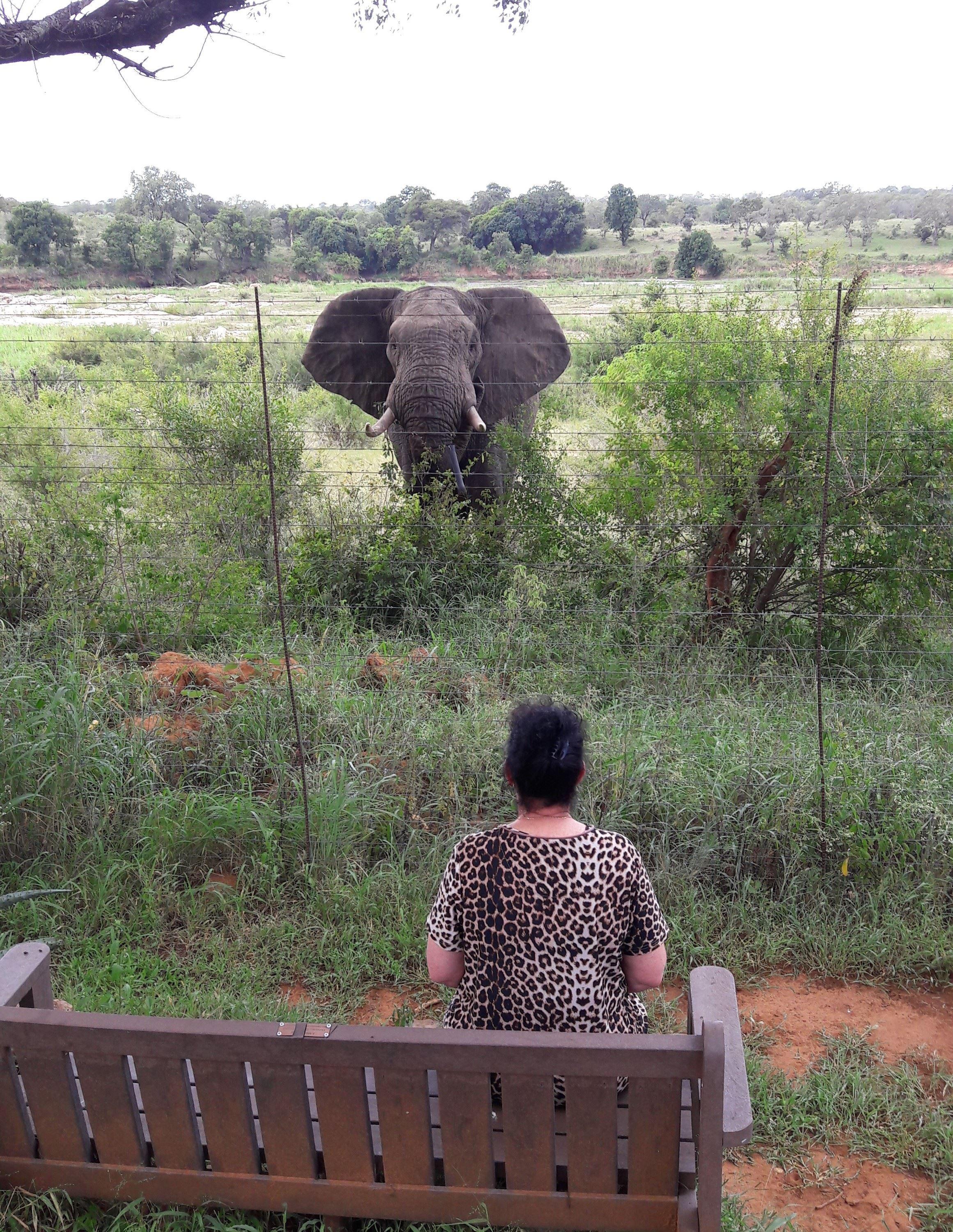 Getaway Bush Marloth Park | Accommodation Marloth Park
