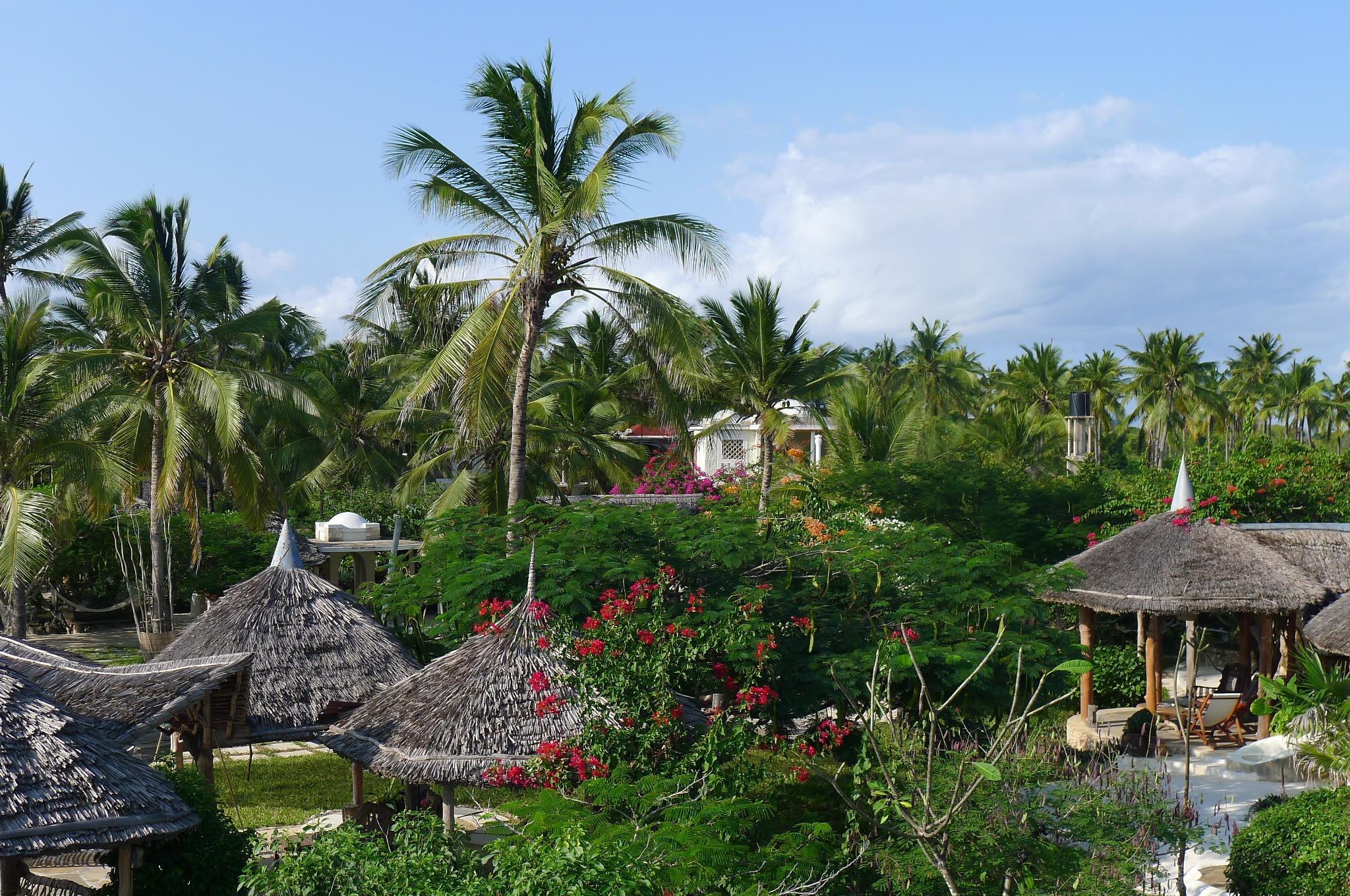 Manfridays Mida Cove | Accommodation Kilifi