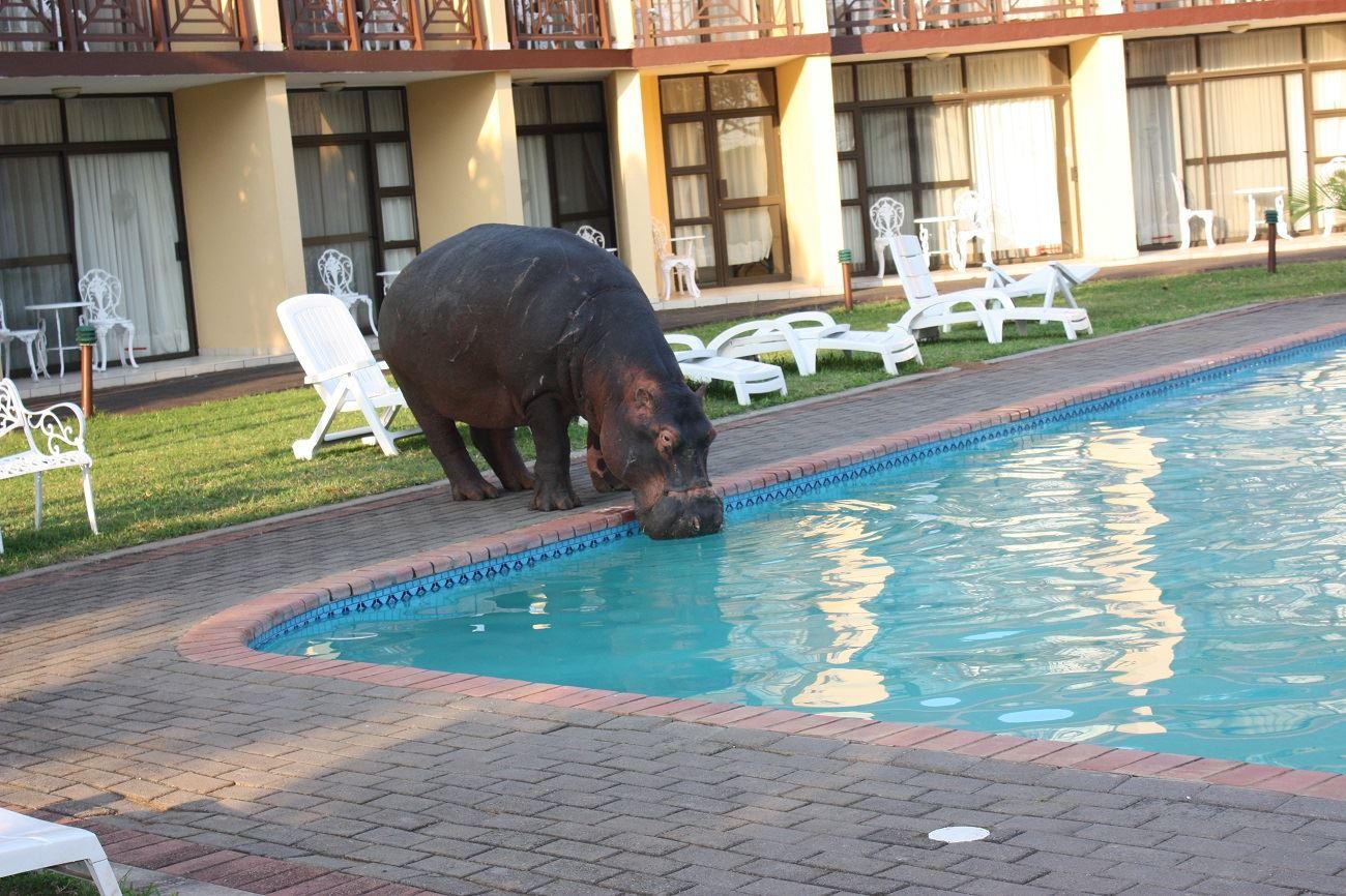 Elephant Lake Hotel | St Lucia Accommodation
