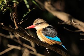 Westering Travel Guide