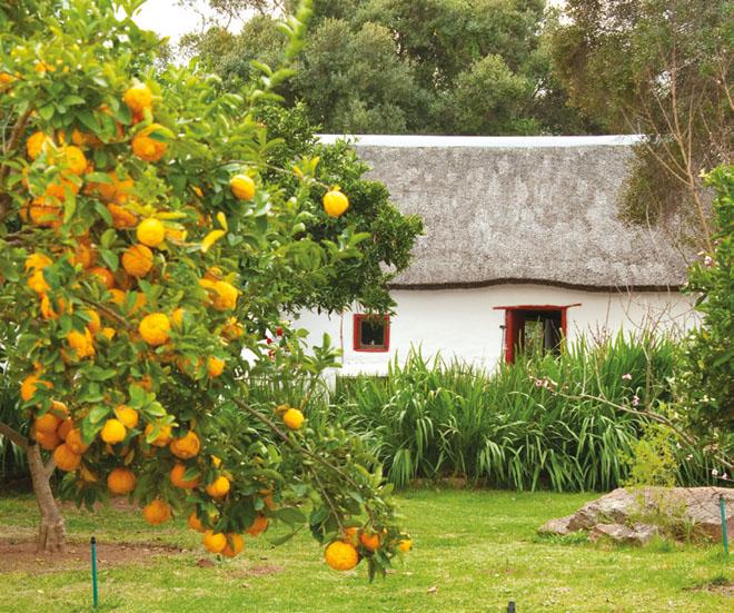 Kapteinskloof Guest House | Piketberg Accommodation