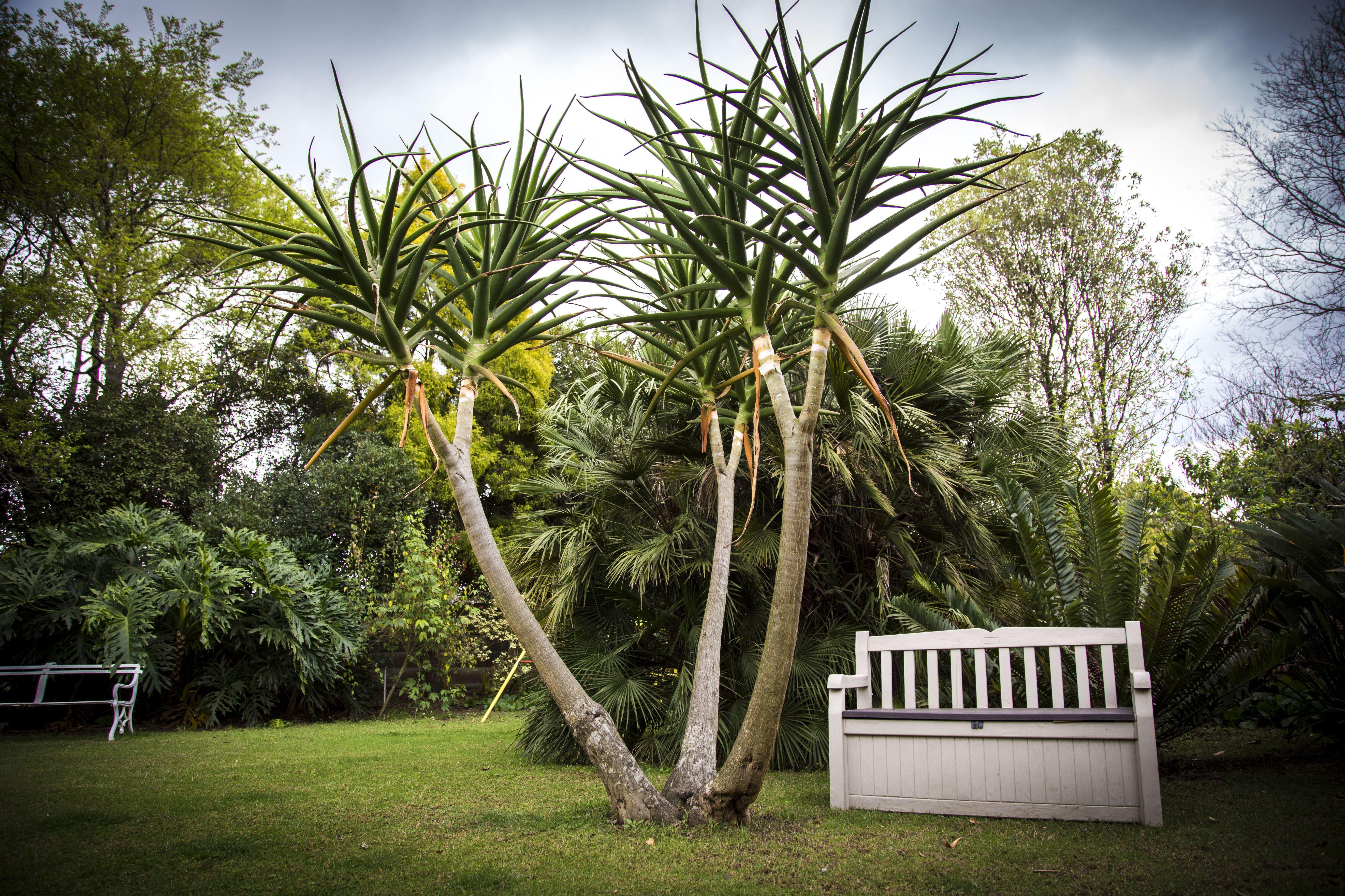 Sunbird Guest House | KwaZulu-Natal golf