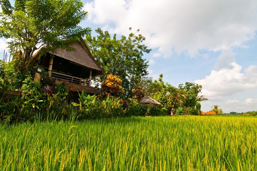 Ubud Accommodation