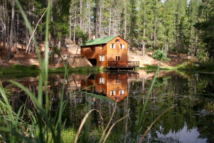Protea Farm | Accommodation Montagu