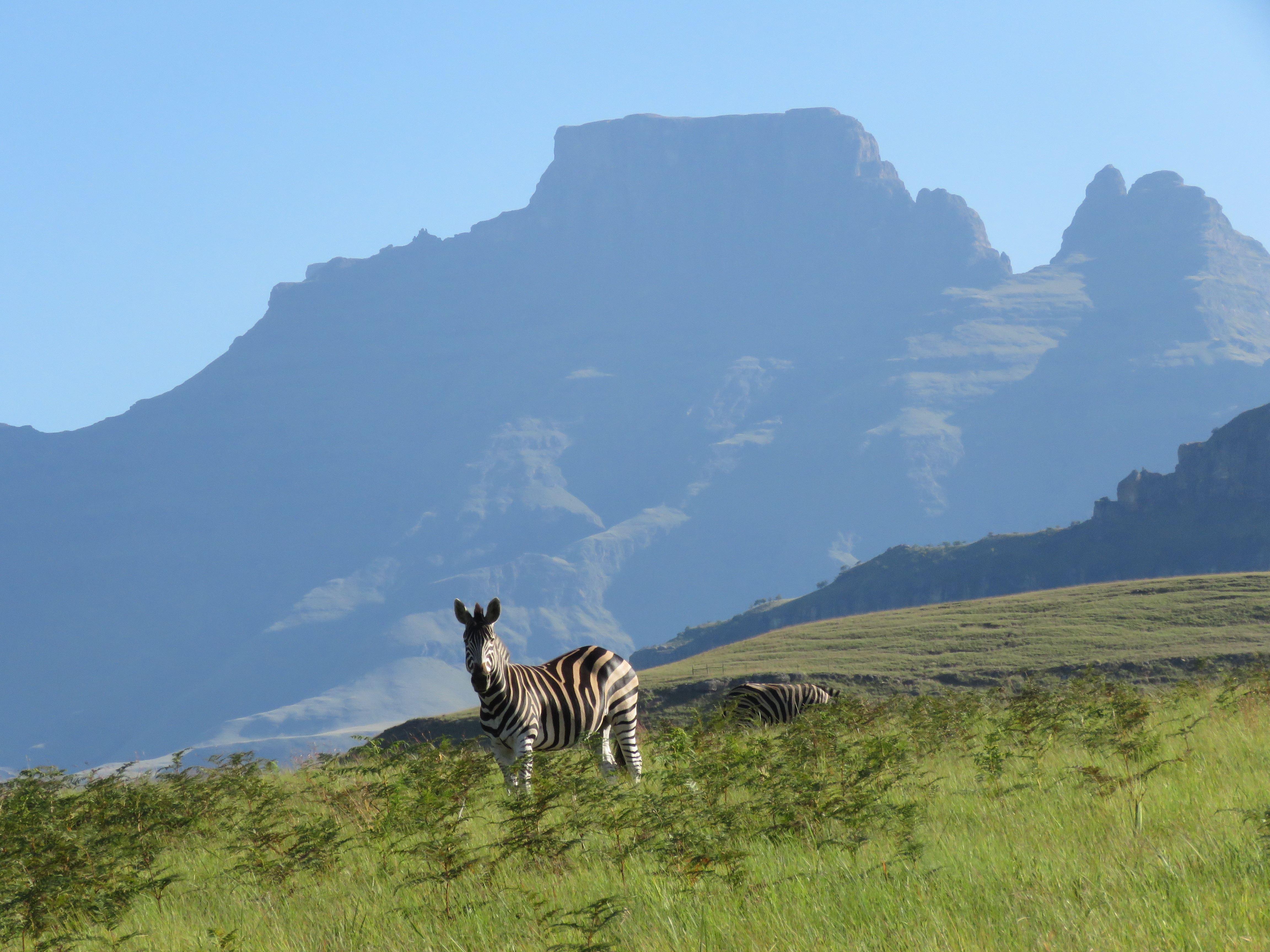 Vultures View | Champagne Valley Self-catering