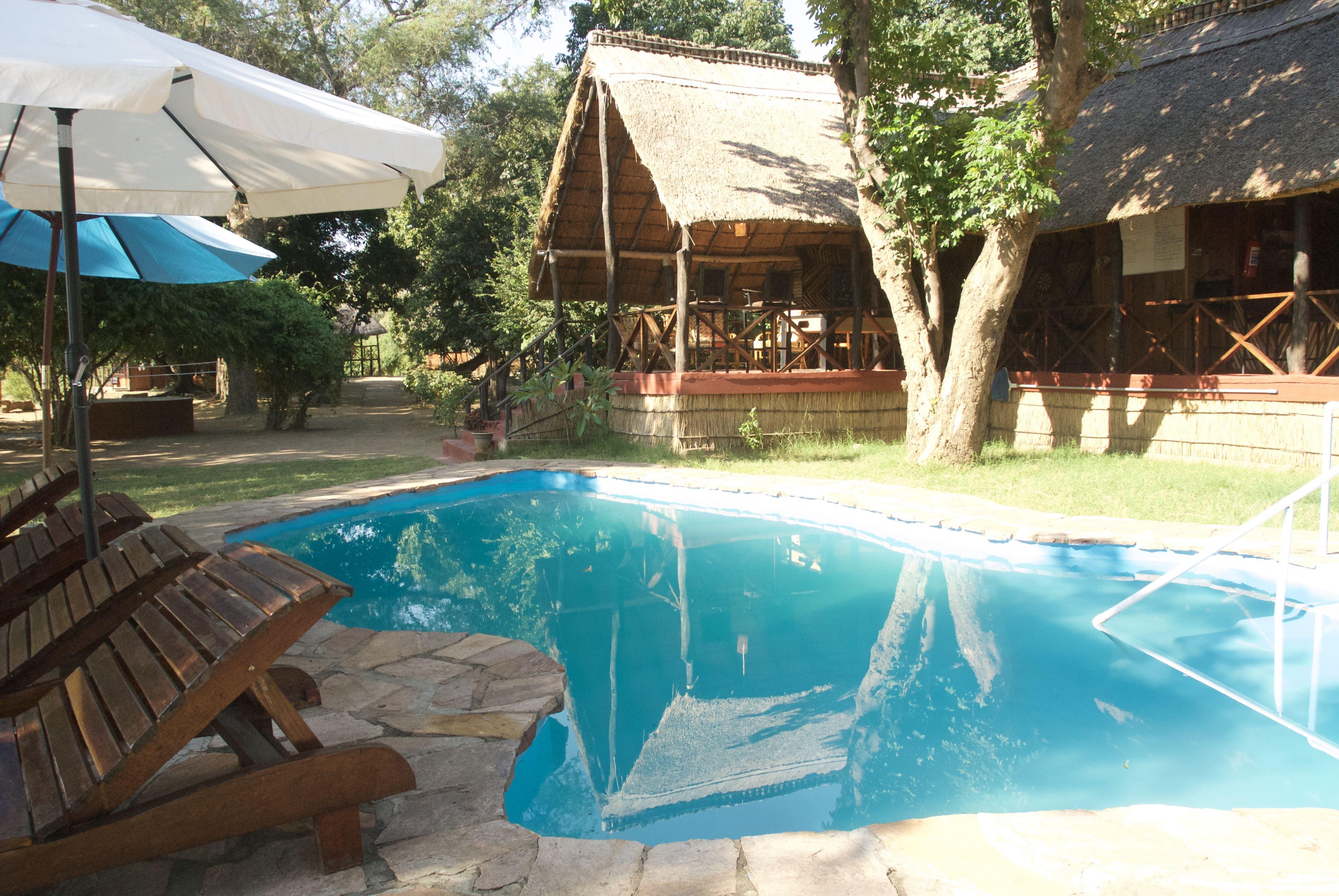 Zikomo Safari | South Luangwa Nat Park african-safari