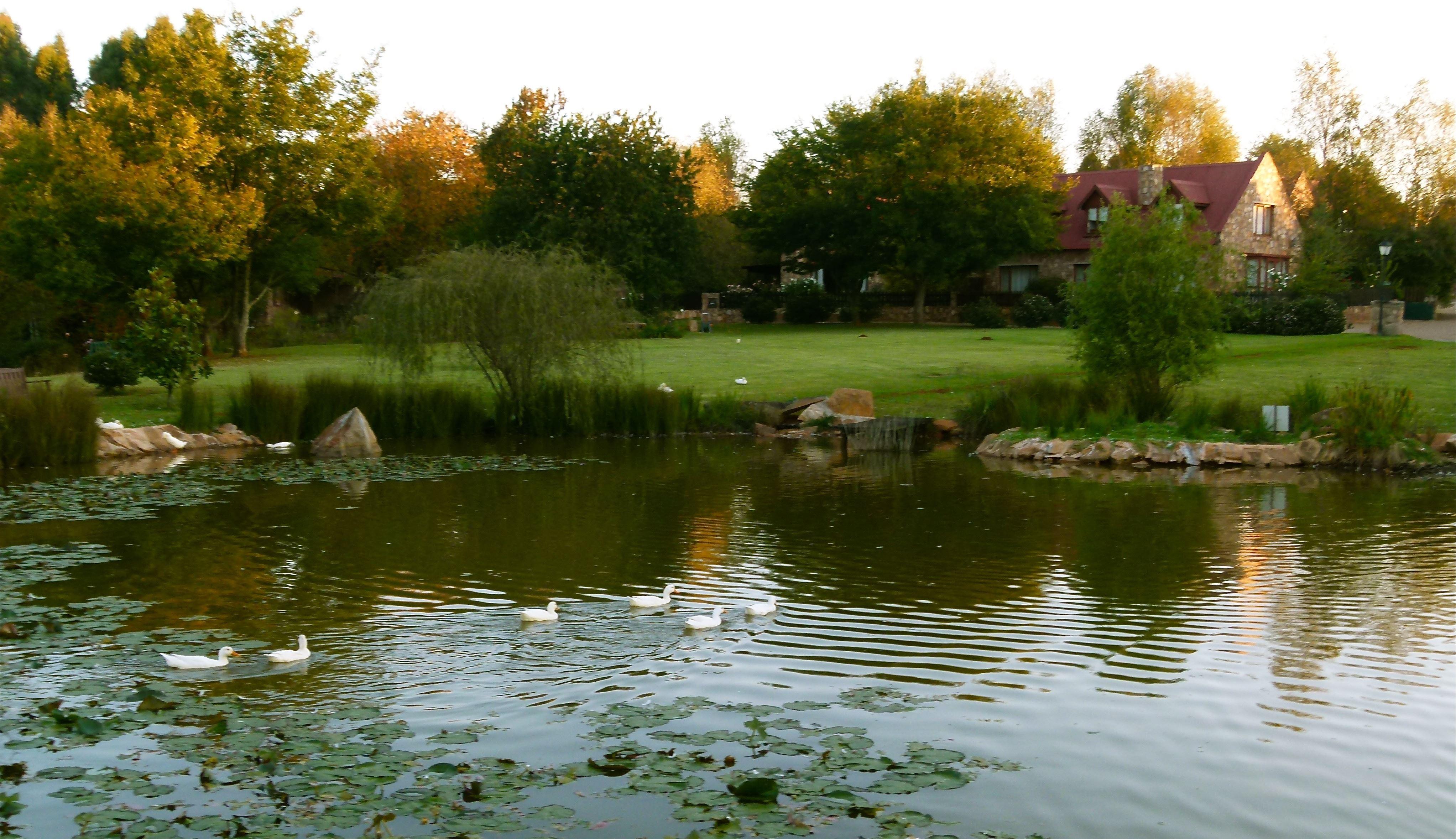 Delagoa Cottage | Dullstroom Accommodation