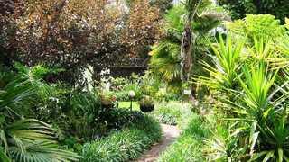 Twickenham Guest House, Auckland Park Accommodation | Accommodation Auckland Park