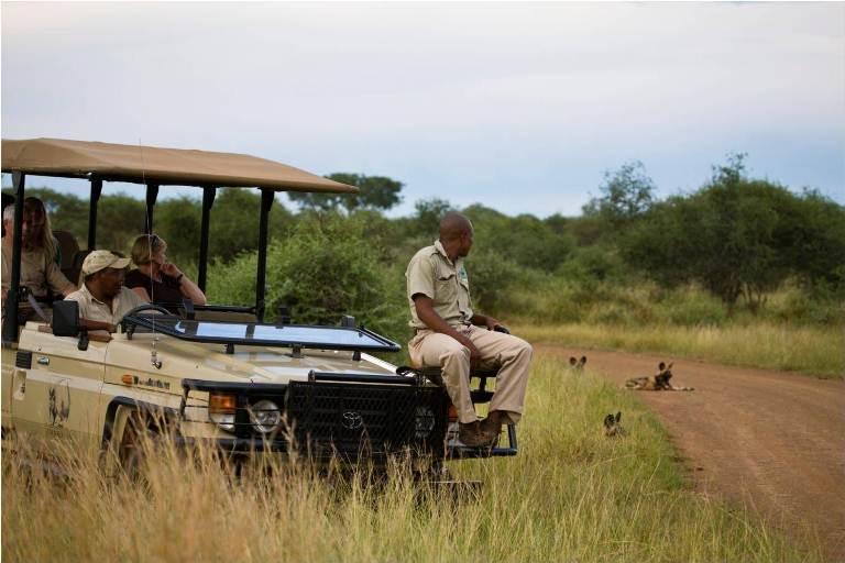 Buffalo Ridge Safari Lodge | Madikwe Game Reserve Accommodation