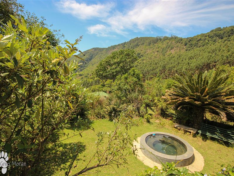 Magoebaskloof Birders Cottages