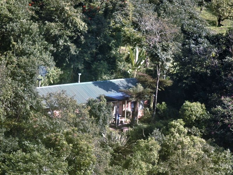 Magoebaskloof Birders Cottages